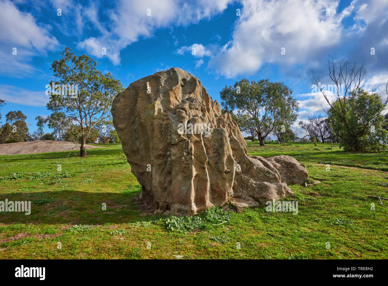 Parc historique Woodlands près de Melbourne avec de gros rochers au printemps, l'Australie, Victoria Banque D'Images