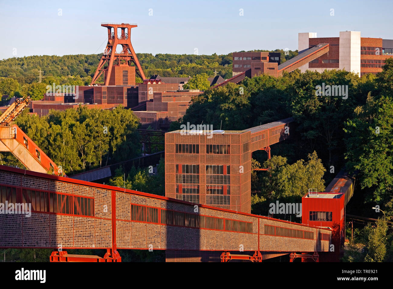 Complexe industriel de la mine de charbon de Zollverein XII avec l'arbre, l'Allemagne, en Rhénanie du Nord-Westphalie, région de la Ruhr, à Essen Banque D'Images