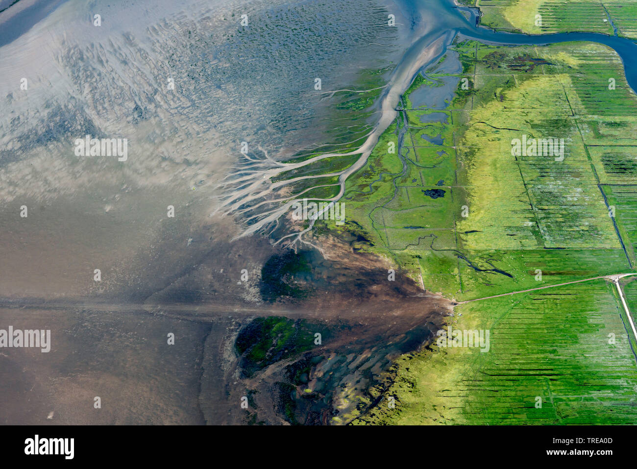 Sur la mer des Wadden, coeast Eiderstedt ouest, vues aériennes, Allemagne, Schleswig-Holstein, Schleswig-Holstein mer des Wadden Parc National Banque D'Images Sur la mer des Wadden, coeast Eiderstedt ouest, vues aériennes, Allemagne, Schleswig-Holstein, Schleswig-Holstein mer des Wadden Parc National Banque D'Images