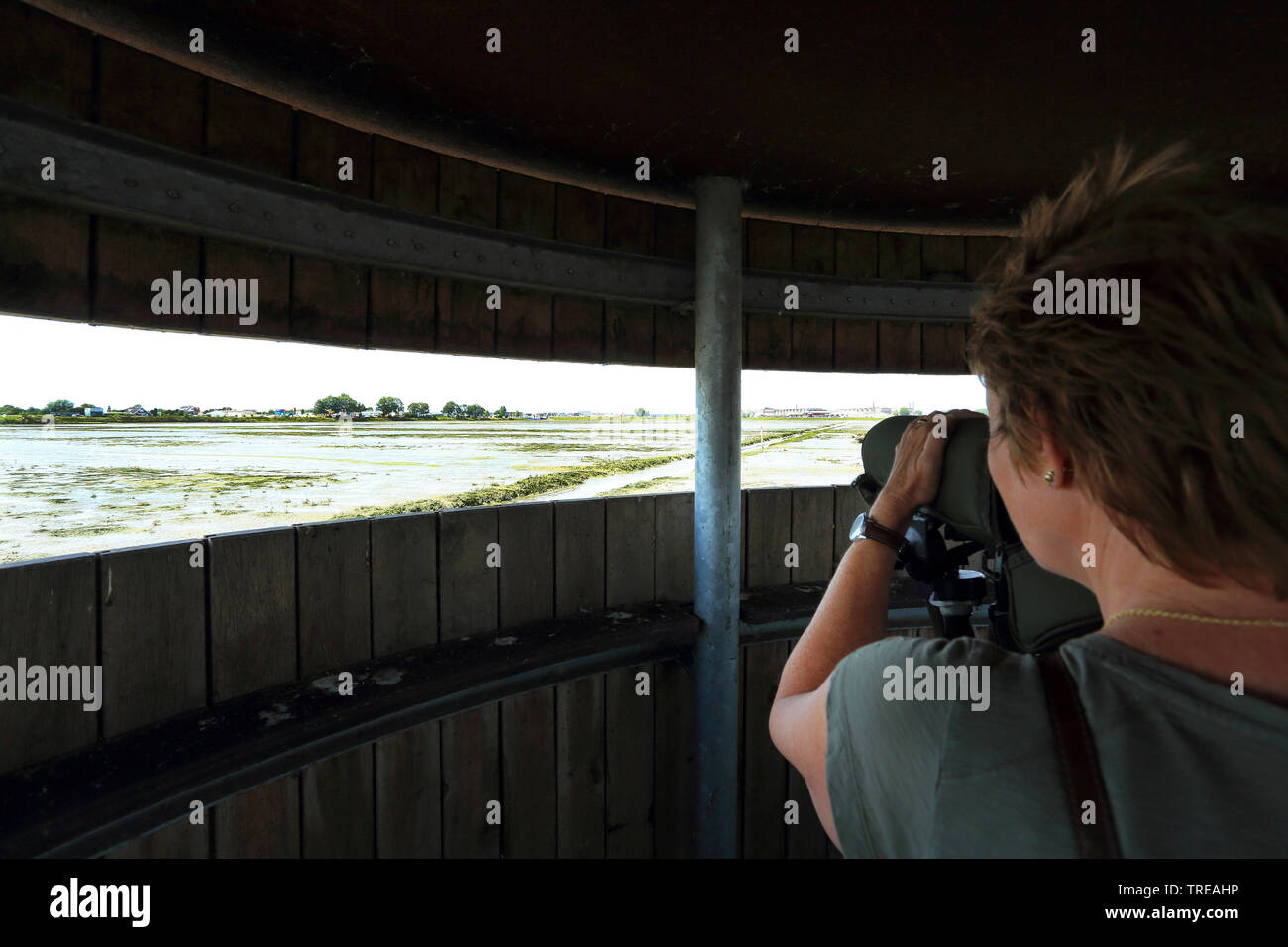 Cabane d'observation dans le Sophia Polder, Pays Bas, Hollande-du-Sud, Dorderecht Banque D'Images