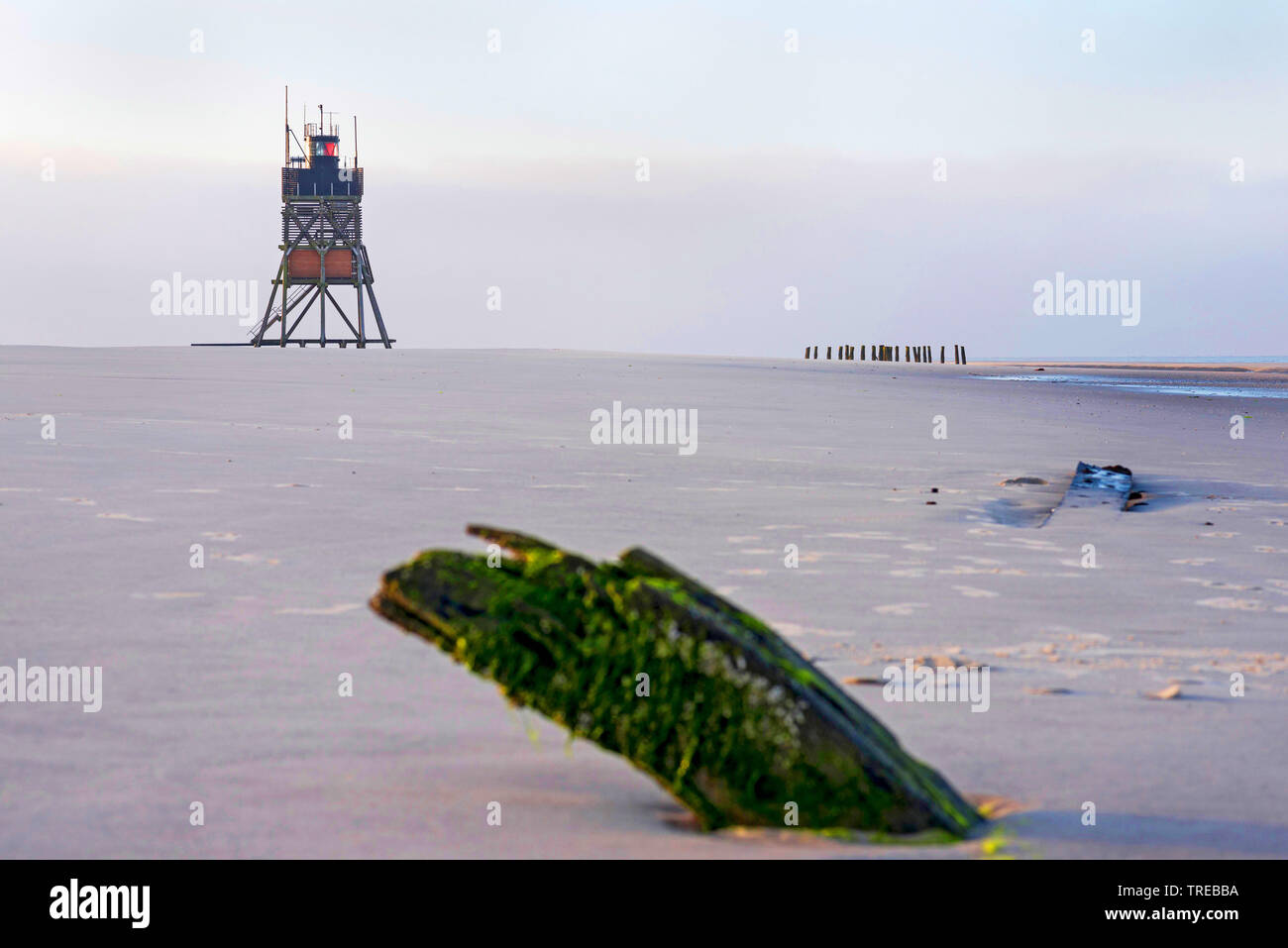 Épave d'Ulpiano sur un banc à Suederoogsand, refuge phare dans l'arrière-plan, l'Allemagne, Schleswig-Holstein, dans le Nord de la Frise Orientale Banque D'Images