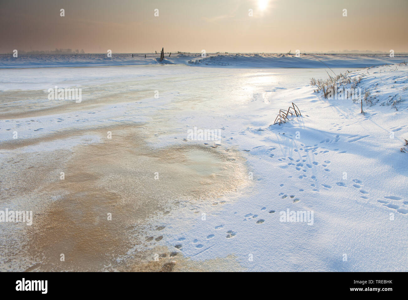 Fossé gelé avec la neige et le ciel sombre, Pays-Bas, Katwijk Banque D'Images