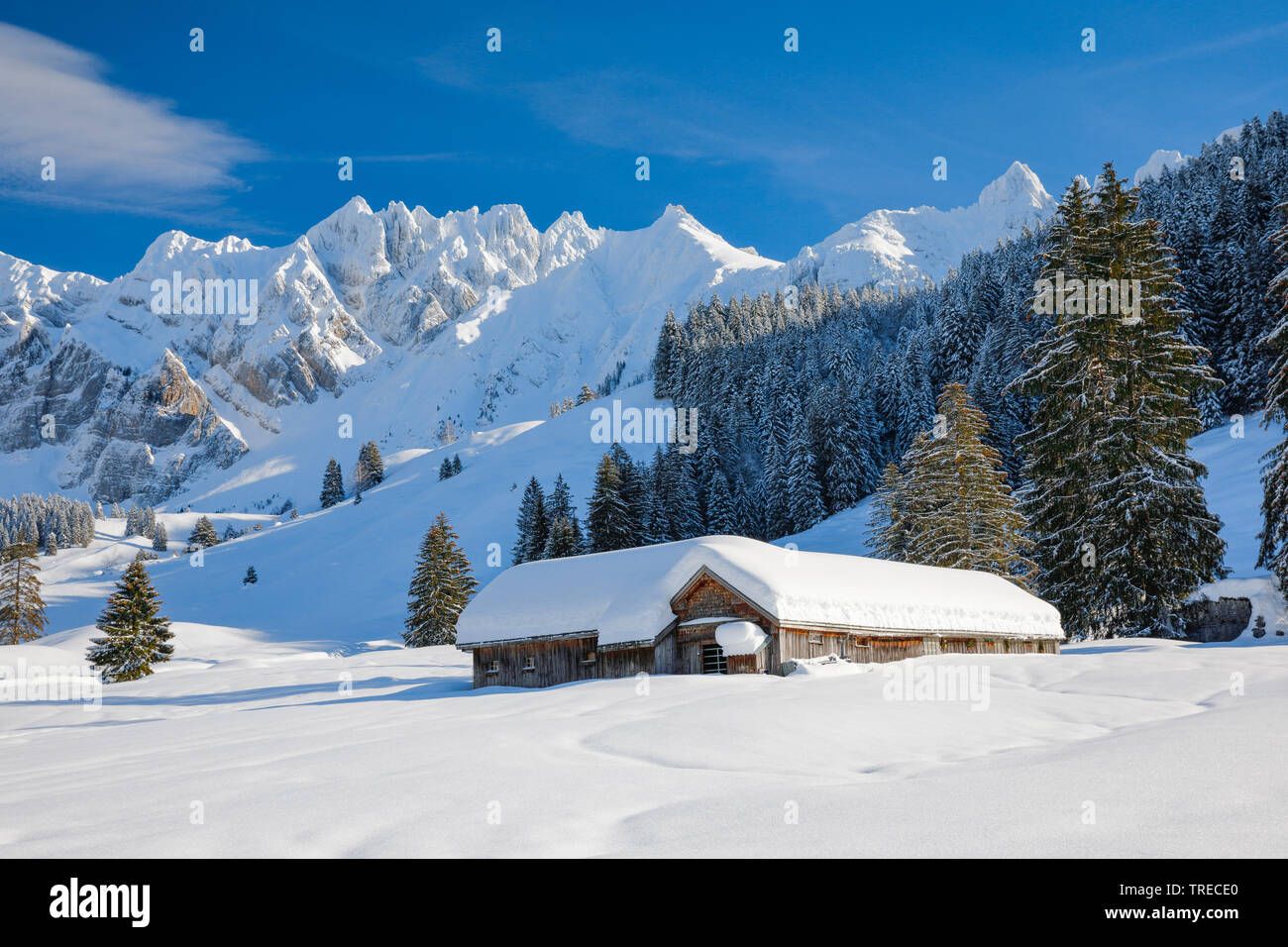 Alpsteinmassif avec mountain cabin et Saentis, Suisse, Appenzell Banque D'Images