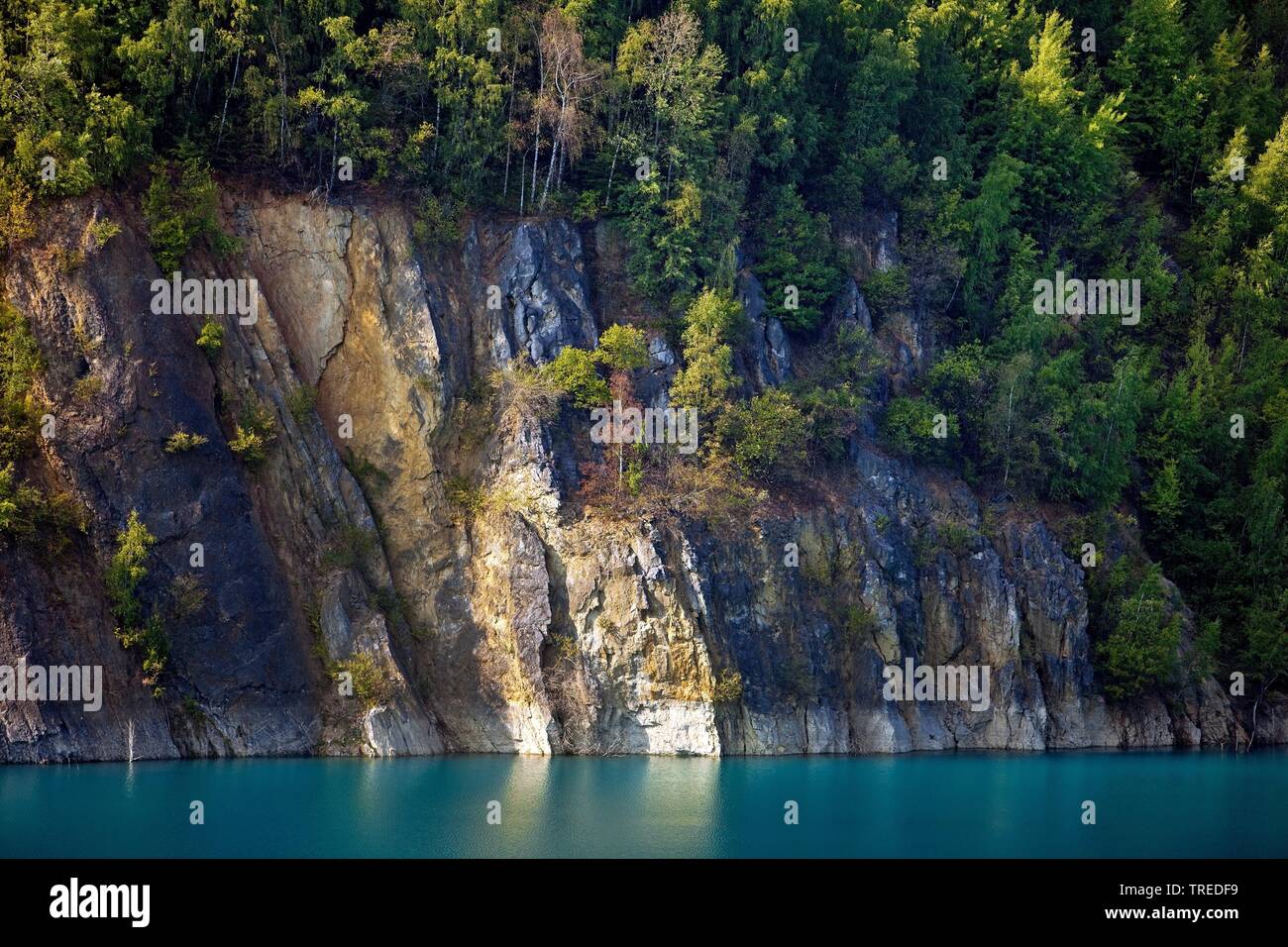 Prangenhaus rock wall, carrière de calcaire et du lac, l'Allemagne, en Rhénanie du Nord-Westphalie, région du Bergisches Land, Wuelfrath Banque D'Images