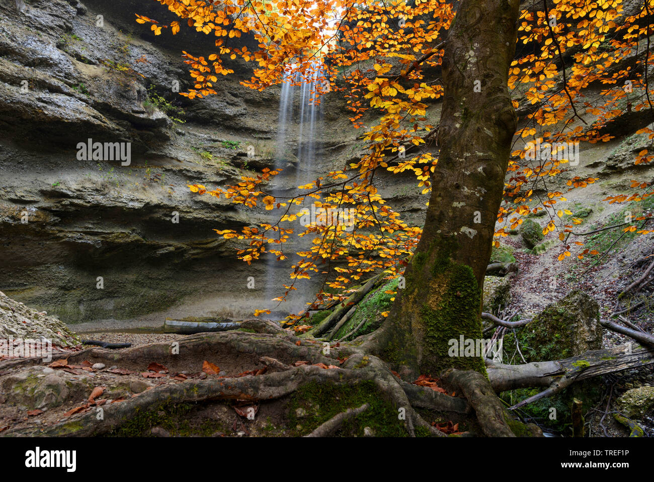 Cascade dans Paehler Schlucht en automne, l'Allemagne, la Bavière Banque D'Images