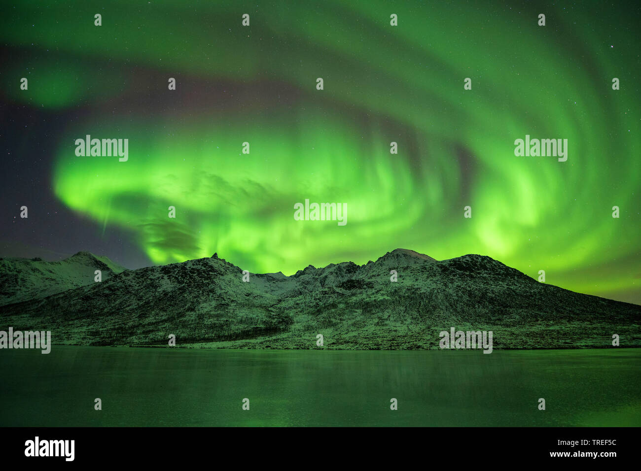 Northern Lights sur les montagnes norvégiennes, Norvège Banque D'Images