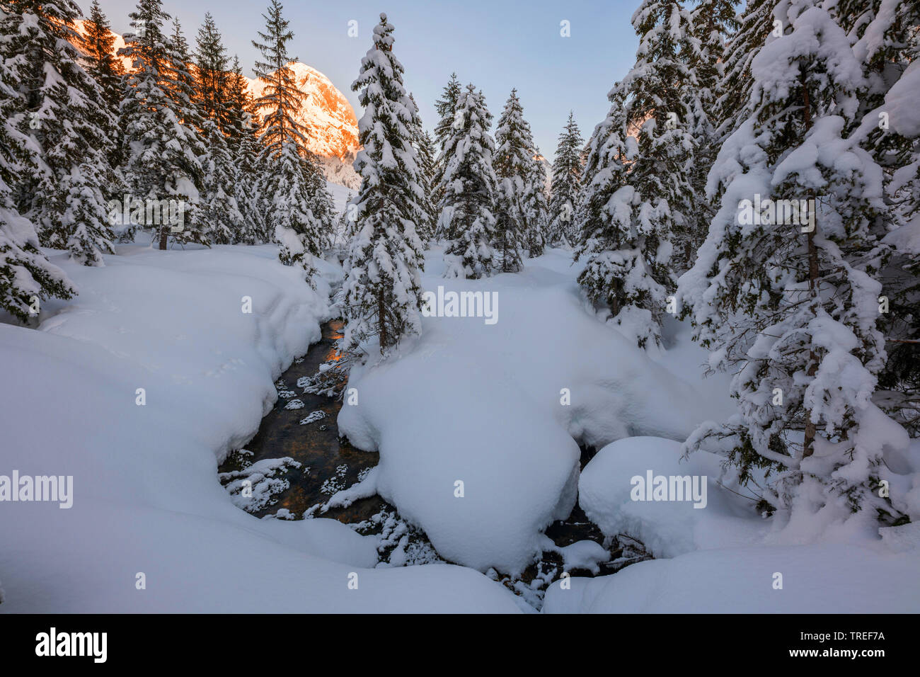 Printemps de l'Isar en hiver profonde, l'Autriche, le Tyrol, Karwendel Banque D'Images