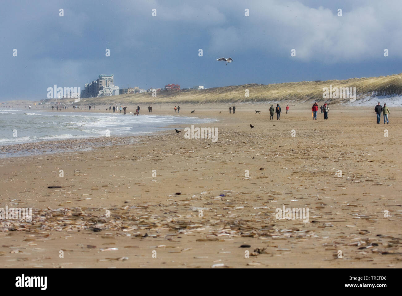 Les gens sur la plage de Katwijk, Pays-Bas, Katwijk Banque D'Images