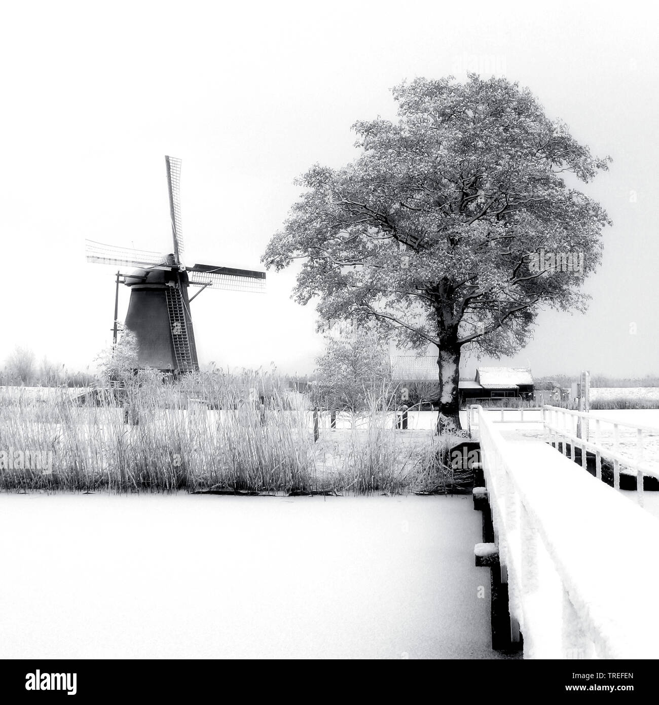 Le moulin à vent de Kinderdijk en hiver, Pays-Bas, Kinderdijk Banque D'Images