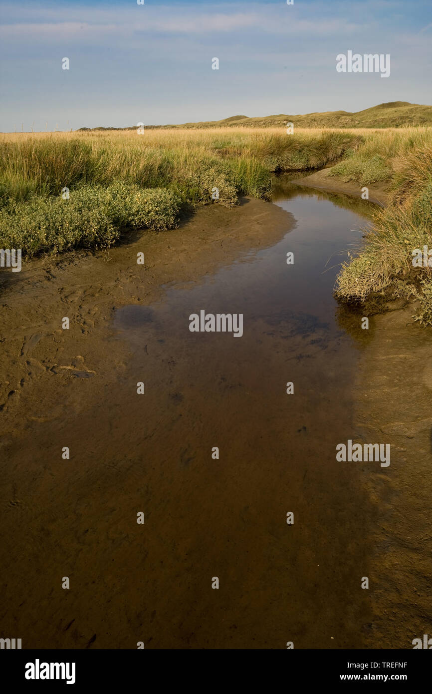 Les prairies de marais avec tide Slufter, Pays-Bas, Texel, de Slufter de Slufter, Banque D'Images