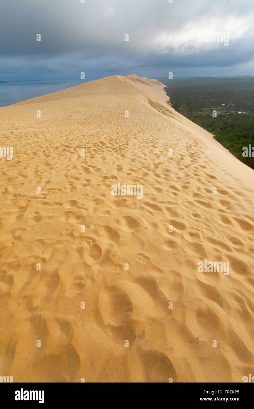 Dune du Pilat, plus haute dune de sable en Europe, France, Arcachon Banque D'Images