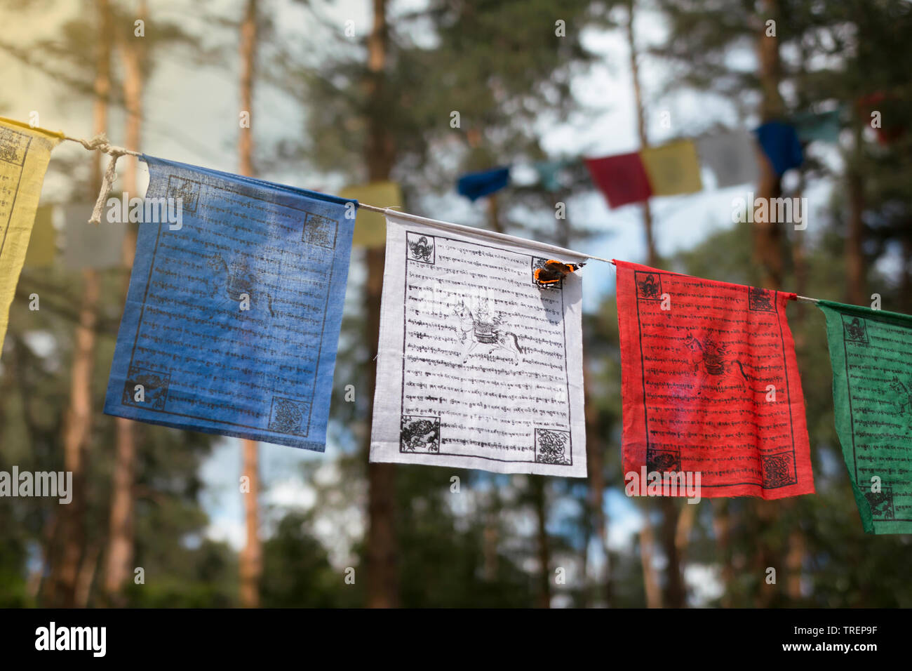 Les drapeaux de prières colorés (lungta/darcho) de la philosophie bouddhiste avec mantra et mais Banque D'Images