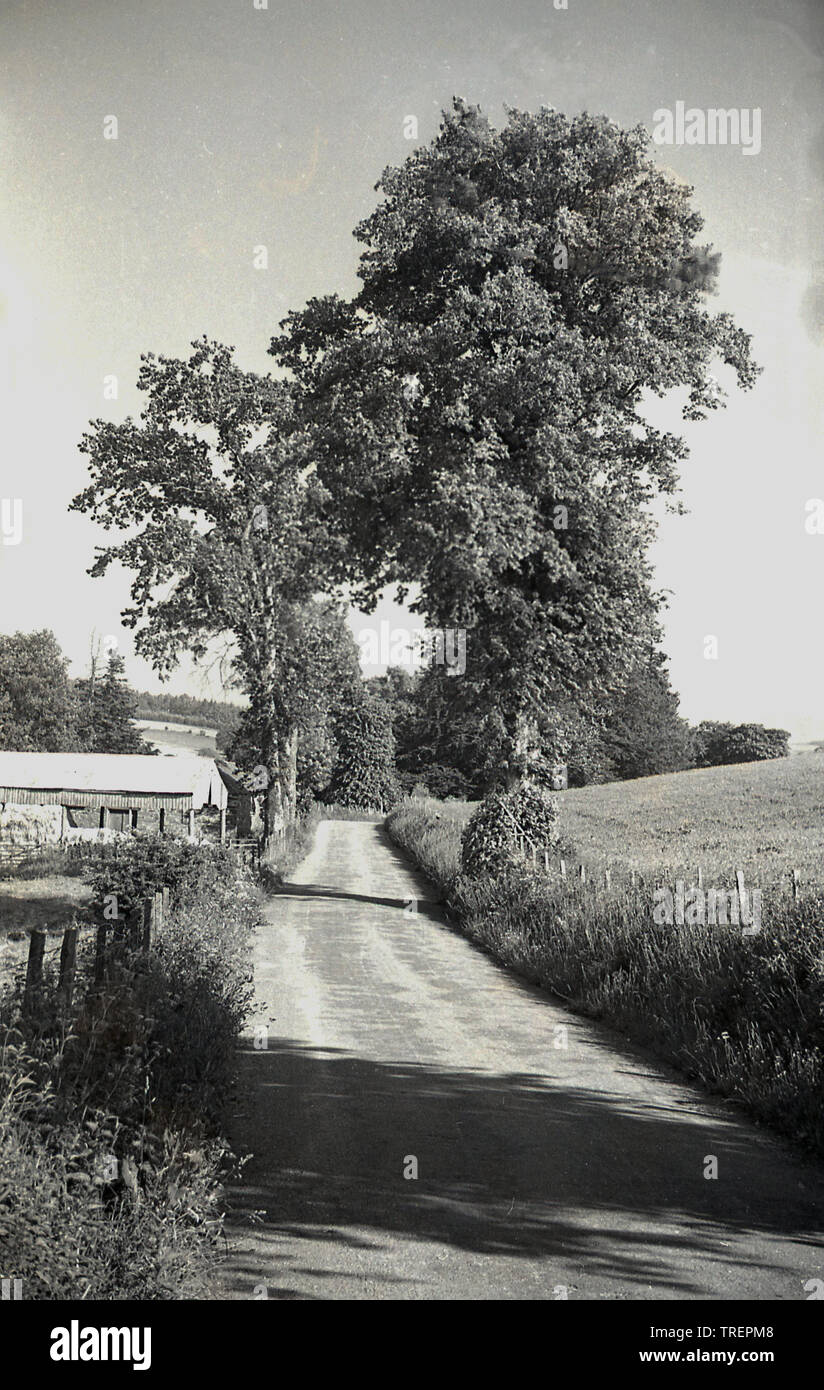 1950s, historique, de jour et une vue le long d'une voie de campagne dans la campagne de Surrey, Angleterre, Royaume-Uni. Banque D'Images