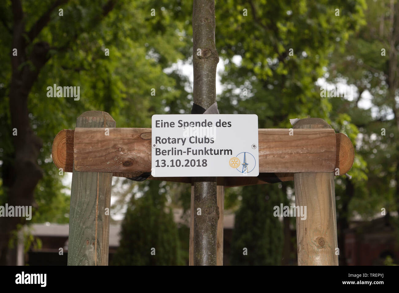Don d'arbres du Rotary Club à Berlin, Allemagne Banque D'Images
