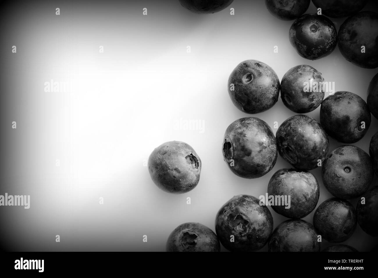 De bleuets frais sur une assiette blanche close up. Vue de dessus le noir et blanc Banque D'Images