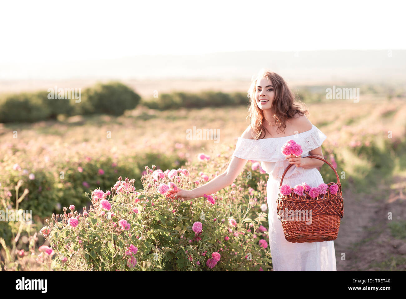 Smiling belle fille 24-29 ans wearing white dress holding basket avec des roses à l'extérieur. En regardant la caméra. Champ de Rose. 20s. Banque D'Images