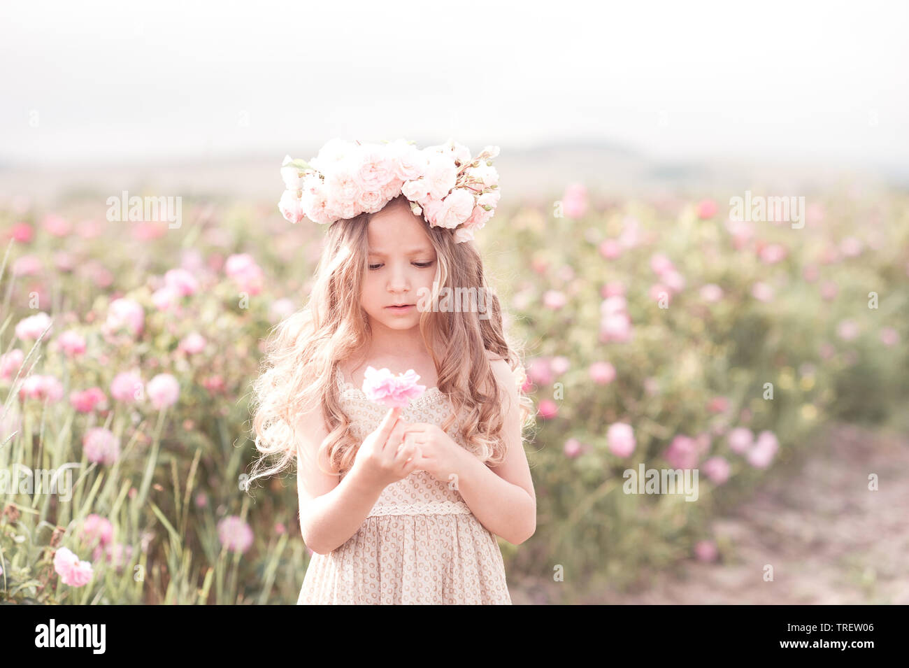 Mignon Bebe Fille 4 5 Ans Holding Rose Fleur En Prairie Le Port De Couronne De Fleurs L Enfance Photo Stock Alamy