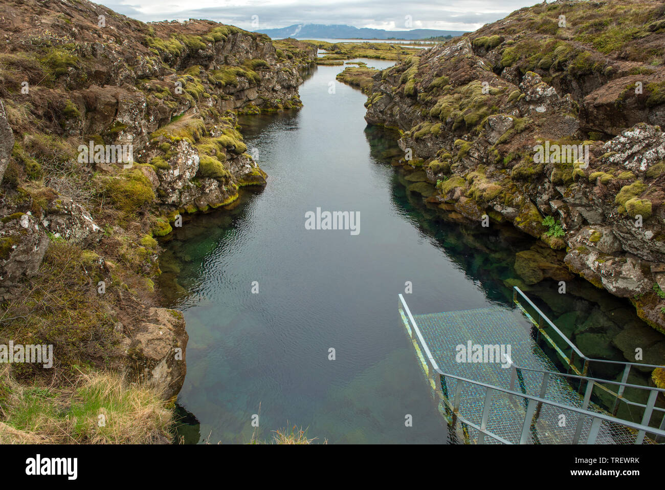 Une fissure est Silfra s.p.a. entre le nord-américaines et eurasiennes plaques tectoniques dans le Parc National de Thingvellir, Islande Banque D'Images