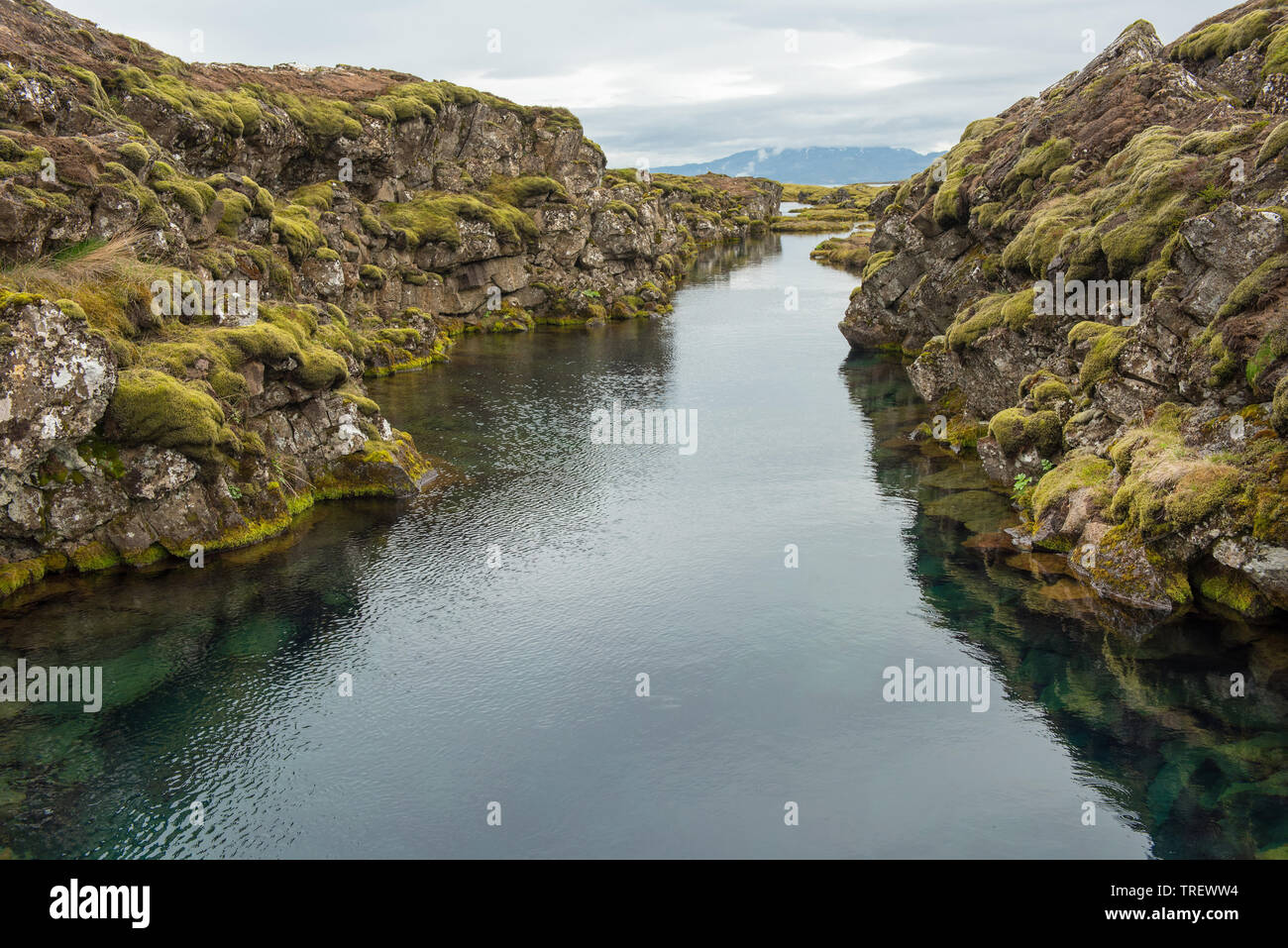 Une fissure est Silfra s.p.a. entre le nord-américaines et eurasiennes plaques tectoniques dans le Parc National de Thingvellir, Islande Banque D'Images