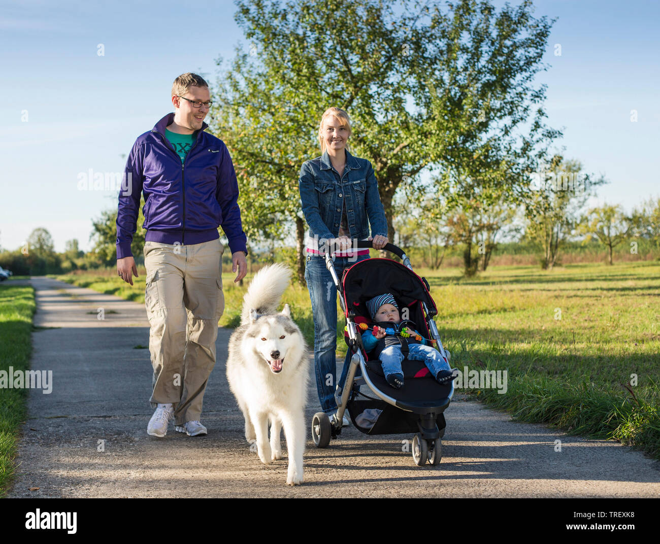 Husky de Sibérie. Chien adulte sur une marche avec sa famille humaine Allemagne Banque D'Images