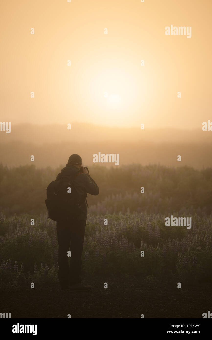 Photographe touristique envisage et photographies d'un lever de soleil brumeux en Islande. Belle Lumière du soleil à travers le brouillard Banque D'Images