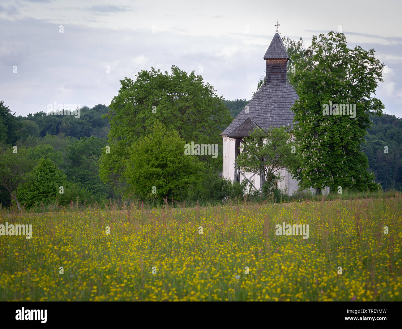 Plus ancienne rotonde en Slovénie. Saint Nicolas et Vierge marie église du 13ème siècle. Vue sur la vieille église en domaines de jaune, fleurs de printemps. Selo, Mor Banque D'Images