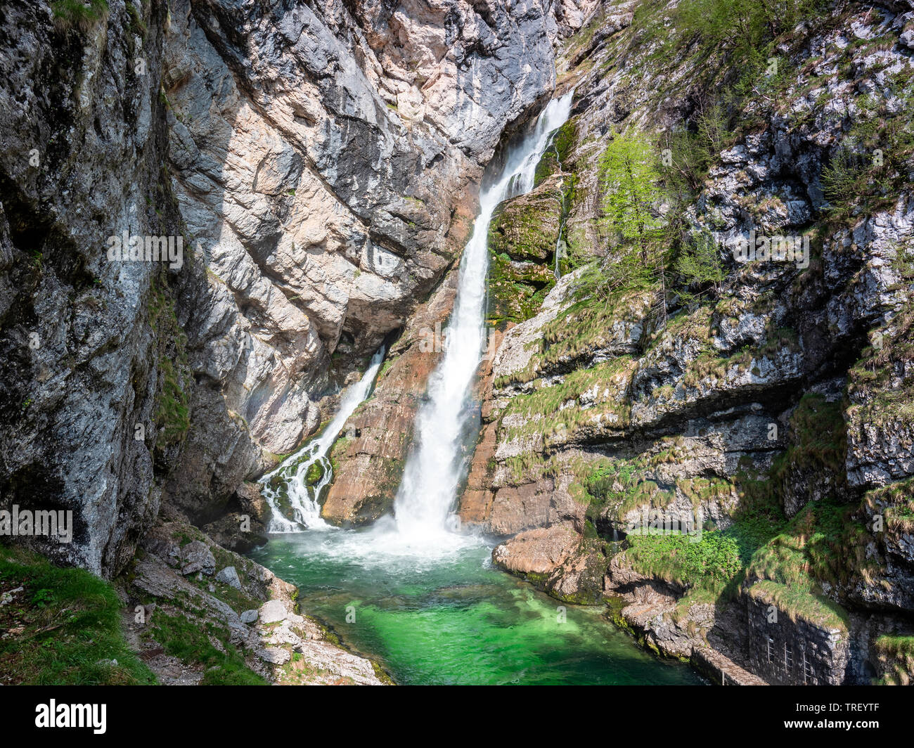 Cascade de Savica, la Slovénie. Double haut cours d'eau cascadant les rochers dans le parc national du Triglav près du lac de Bohinj en Slovénie. Deuxième plus v Banque D'Images
