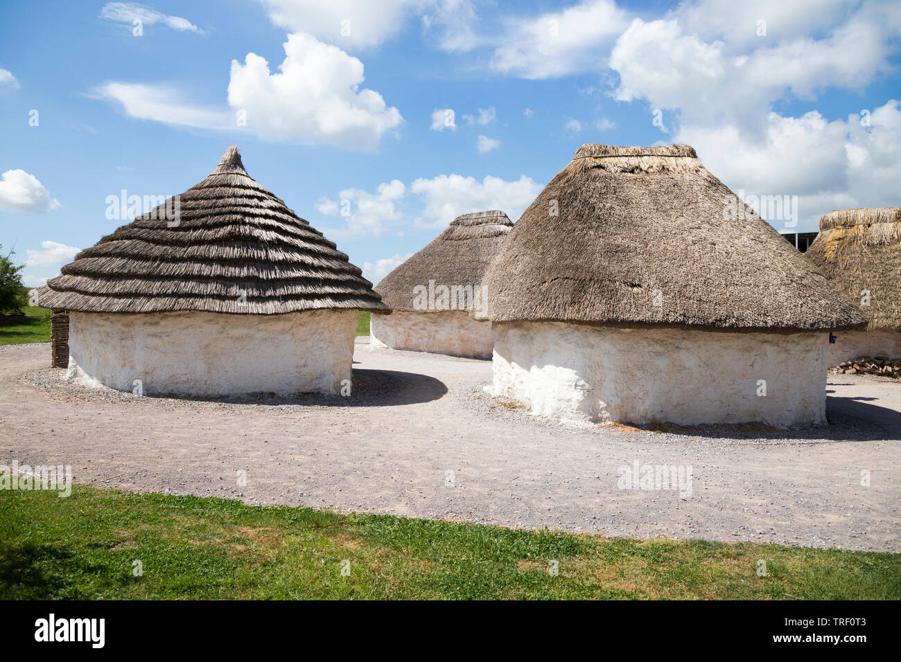 L'extérieur de l'âge de pierre néolithique recréé hut / huttes au toit de chaume stoneage / toiture. Centre d'exposition du village ; Stonehenge / Stone Henge. Amesbury, Wiltshire, Royaume-Uni (109) Banque D'Images