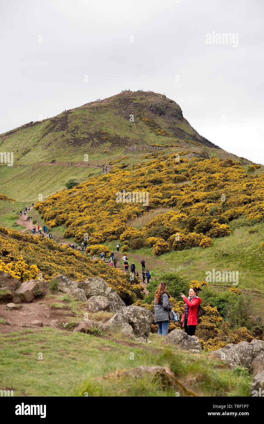 Grand groupe de personnes marcher jusqu'à la côté de Arthur's Seat à Édimbourg, Écosse Banque D'Images