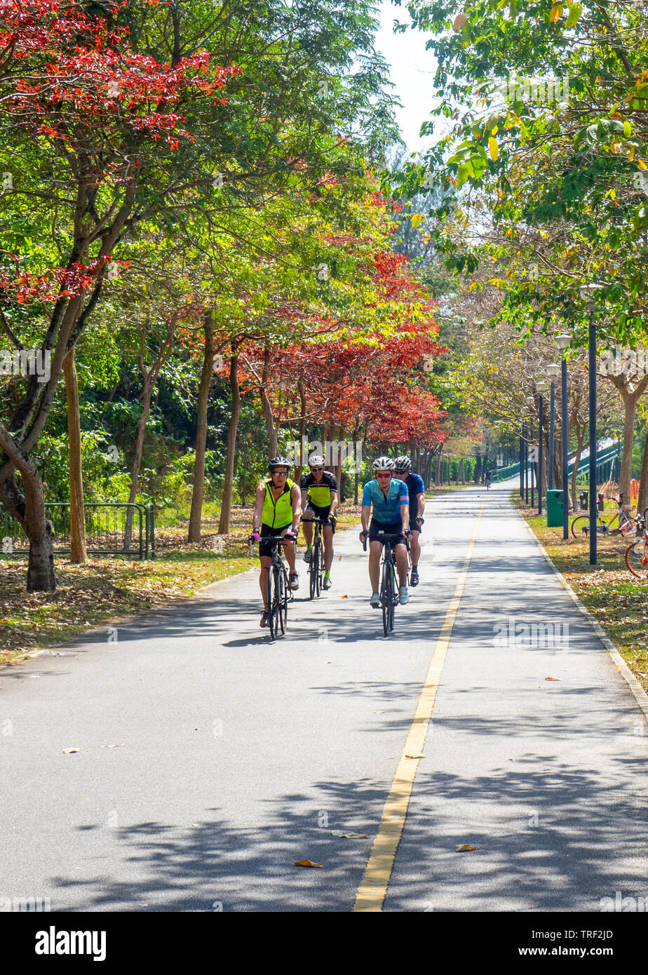 Les cyclistes équitation leurs bicyclettes sur une route le long de East Coast Park Singapour. Banque D'Images