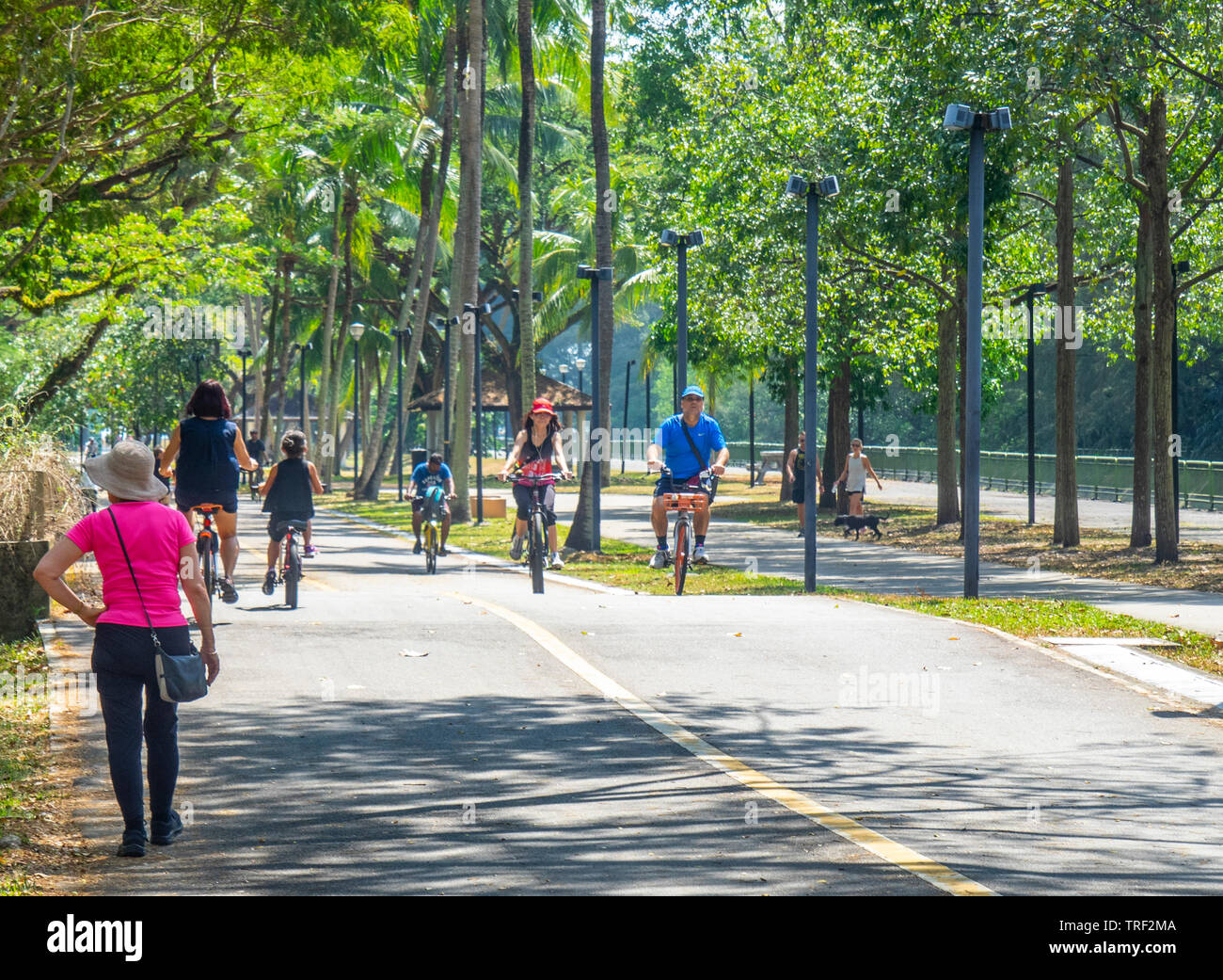 Les cyclistes équitation leurs bicyclettes sur une route le long de East Coast Park Singapour. Banque D'Images