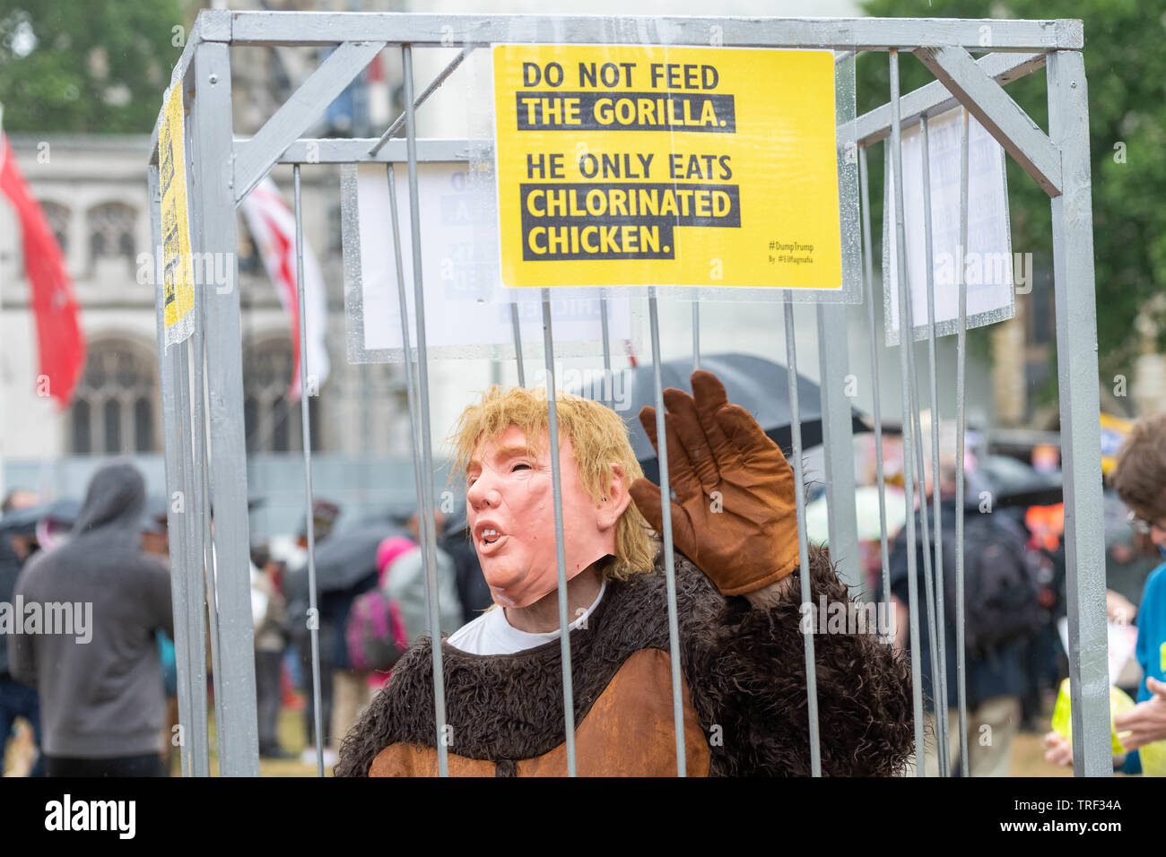 Londres 4 juin 2019 des manifestations anti Trump dans Parliament Square Crédit : Ian Davidson/Alamy Live News Banque D'Images