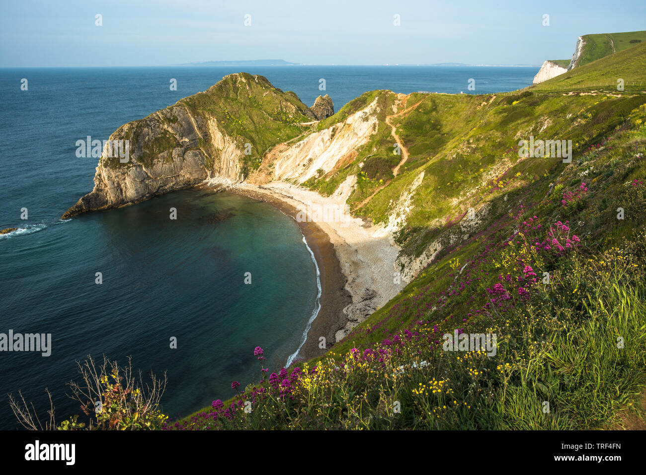 Superbes paysages en regardant l'homme de guerre O baie à côté de Durdle Door sur la côte jurassique du Dorset. Angleterre, Royaume-Uni. Banque D'Images