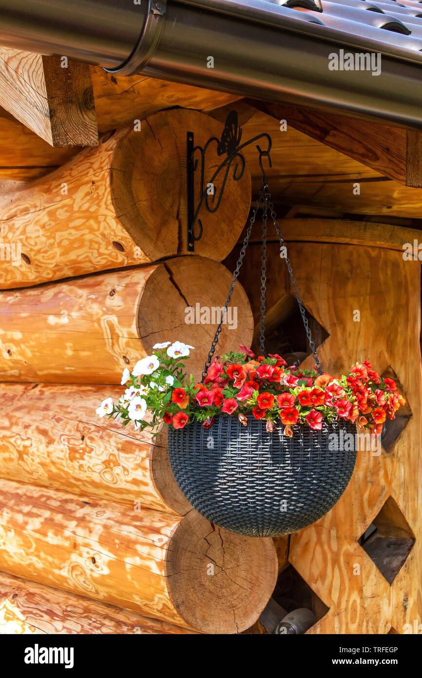 Pot de fleurs suspendus sur cabane en bois. Pot de fleurs décoratives sur le cottage. Banque D'Images