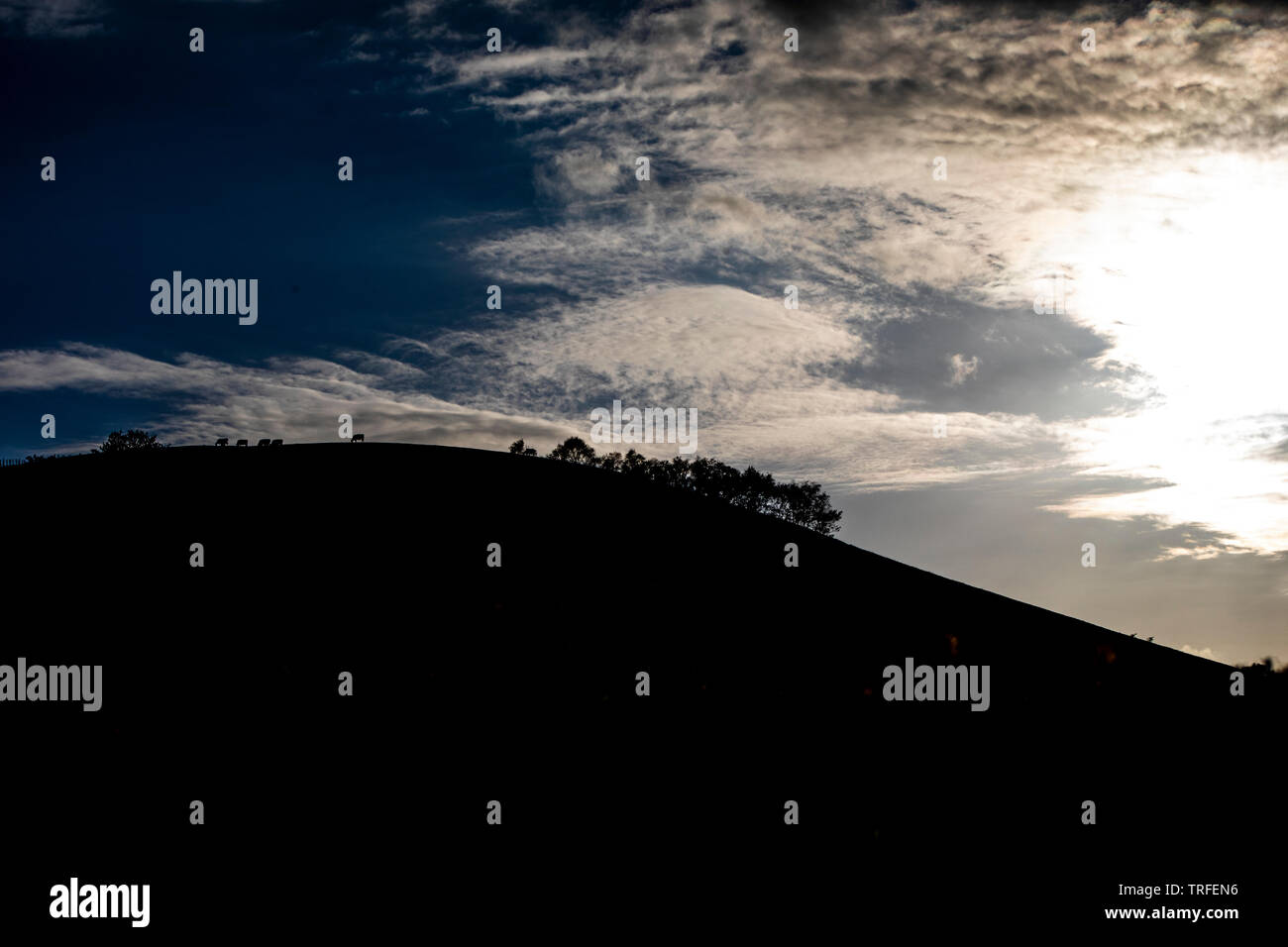 Image de coucher de soleil en ferme animaux paissent à proximité. Banque D'Images