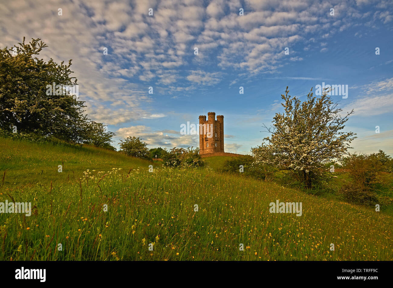 Broadway Tower se dresse au sommet de la colline de poissons dans le nord de la région des Cotswolds, et est un point de vue local ainsi que d'une folie médiévale du château. Banque D'Images