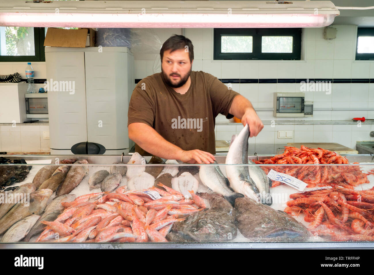 Le marché aux poissons, Mahon, capitale de Minorque, Iles Baléares, Espagne Banque D'Images