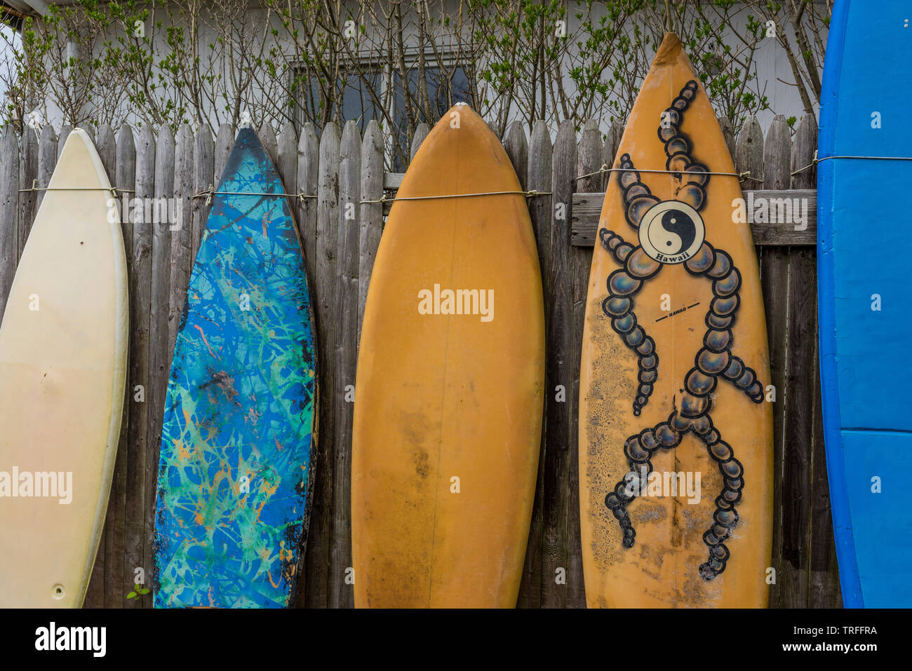 Vieilles planches de surf en bois Banque de photographies et d’images à