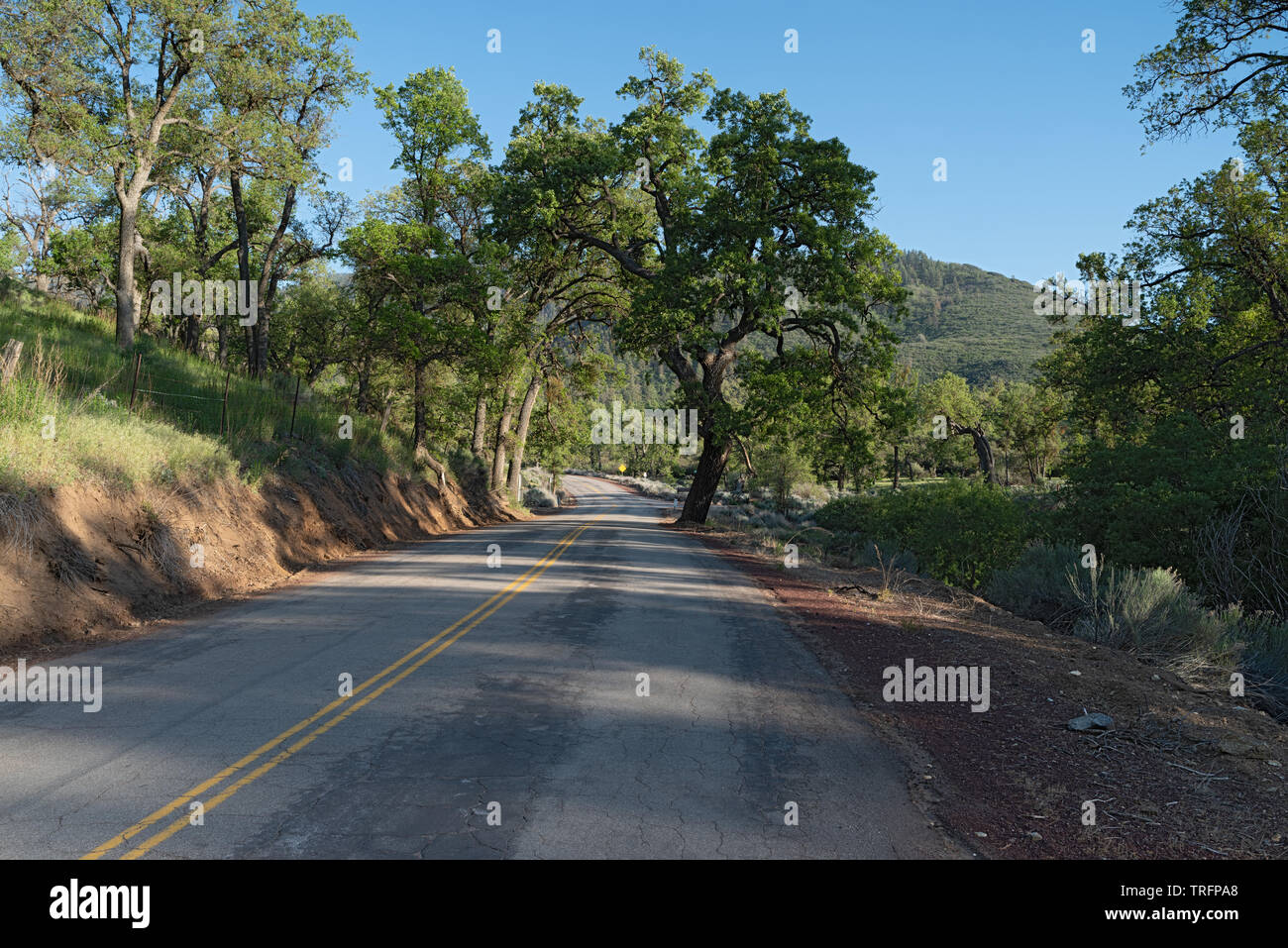 Paysage autour de la montagnes Tehachapi dans Comté de Kern, en Californie. Banque D'Images