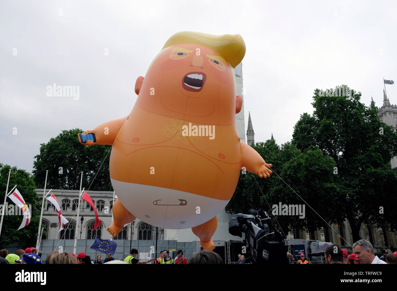 Anti-Trump protester Banque D'Images