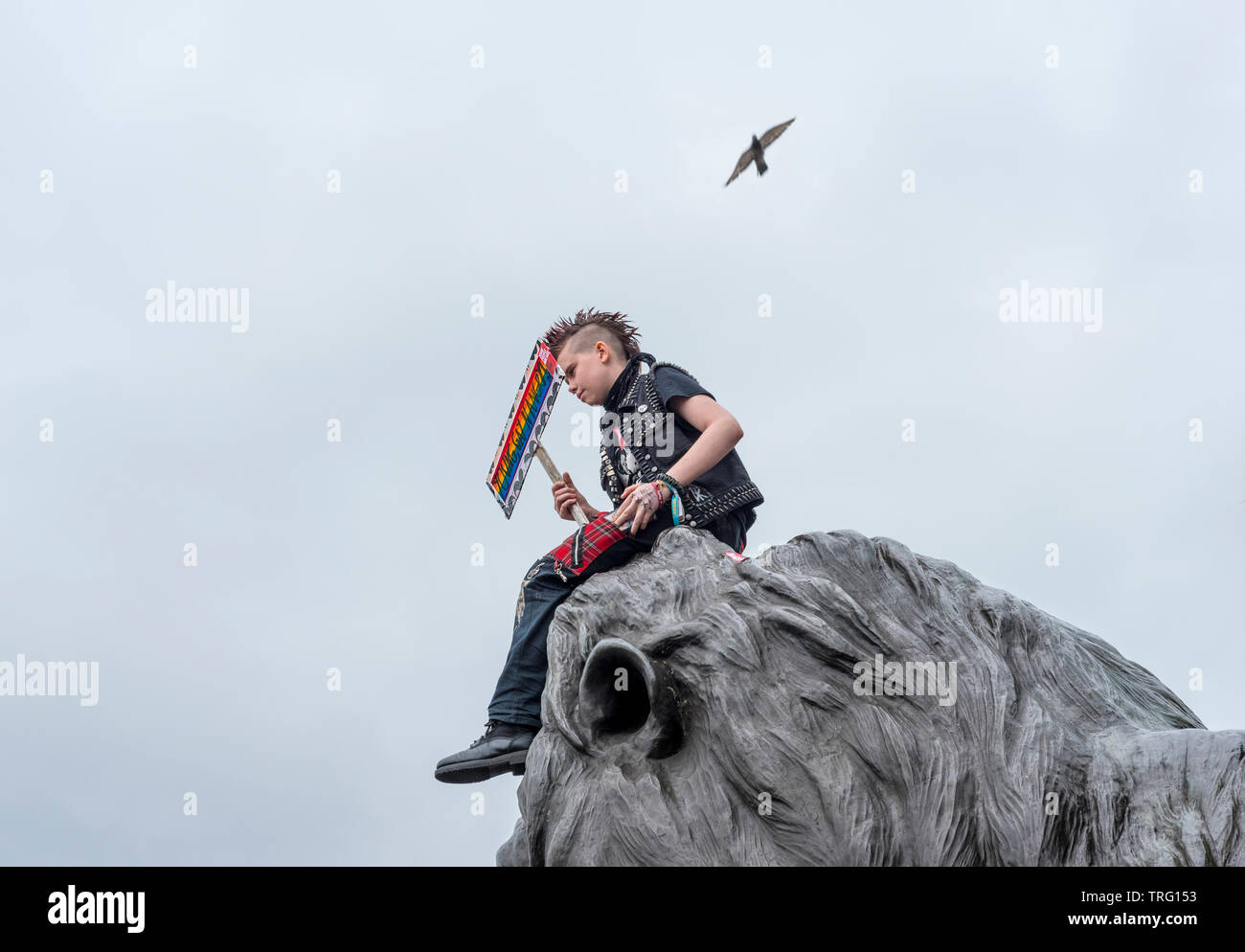Les manifestants d'atout à Trafalgar Square Londres pendant Président Trump visite d'État, Juin 2019 Banque D'Images