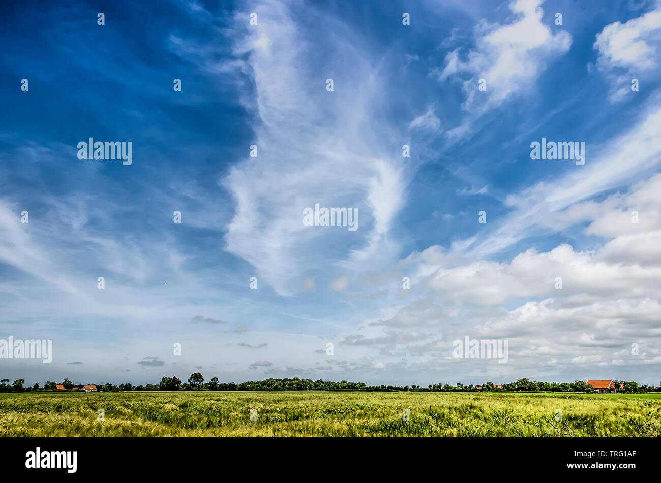 Surtout ciel bleu avec des nuages différents sur un large paysage ouvert avec maïs et int la distance certaines fermes et arbres de l'île Banque D'Images