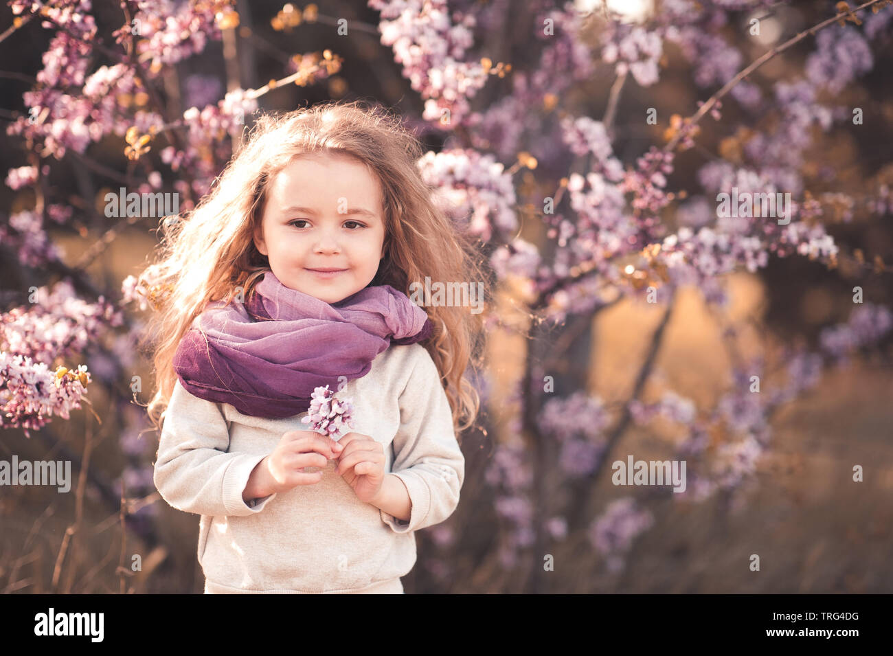 Smiling girl enfant 4-5 ans holding flower portant foulard violet et gris sweat élégant d'arbres en fleurs sur l'extérieur. En regardant la caméra. Childhoo Banque D'Images