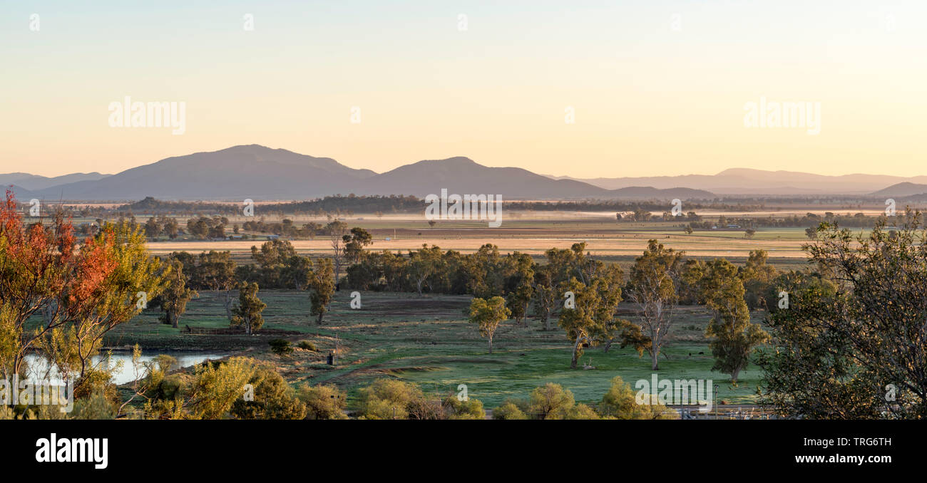 Une brume de basse altitude s'empare des pâturages tandis que le soleil se lève sur les pâturages entourant la ville de Gunnedah, dans le nord-ouest de la Nouvelle-Galles du Sud, en Australie. Banque D'Images