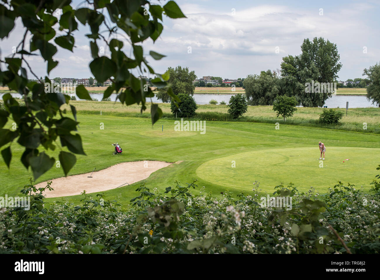 Golf Club Lausward à Düsseldorf, Allemagne. Golf-Sport GSV-Verein e.V. Banque D'Images