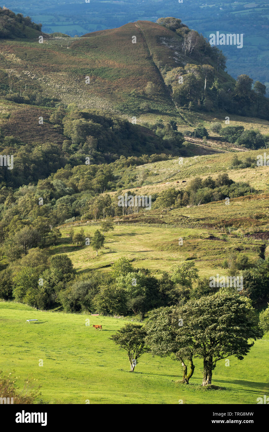 La frontière de pays Gortalughany, Co fermanagh, Irlande du Nord, Royaume-Uni Banque D'Images