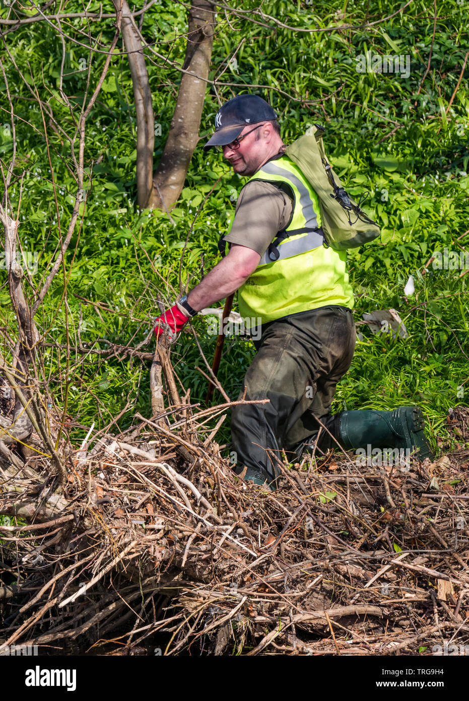 Bénévolat pour nettoyage de printemps annuel sur l'eau de banque de Leith, Édimbourg, Écosse, Royaume-Uni. Un homme en waders efface litière de la rive Banque D'Images