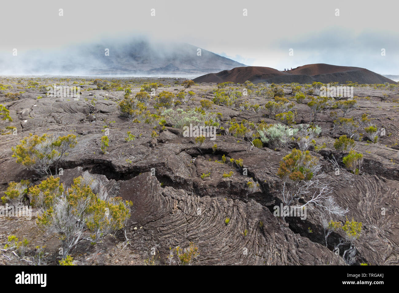 Le Formica Leo (un petit cratère volcanique), le Piton de la Fournaise, Réunion, France Banque D'Images
