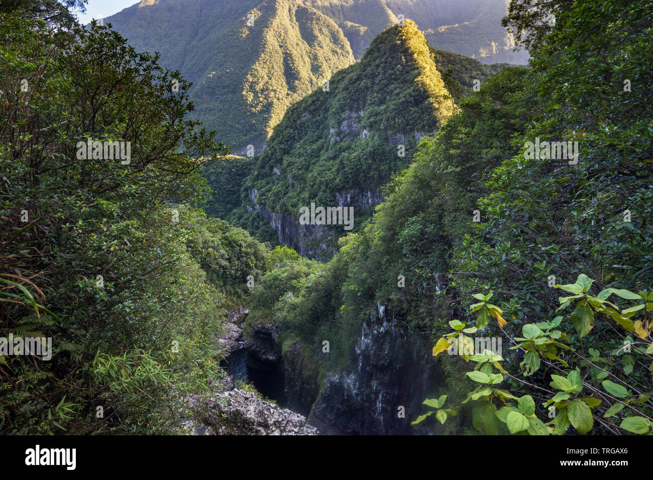 Les Marsouins Valley près de Takamaka, l'île de la Réunion, France Banque D'Images