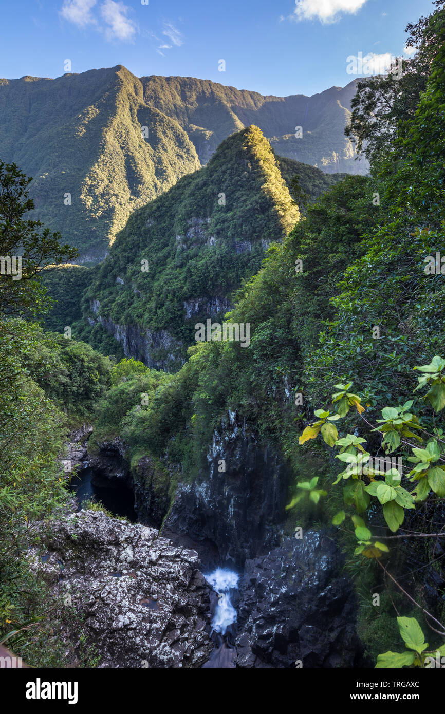 Les Marsouins Valley, Takamaka, l'île de la Réunion, France Banque D'Images